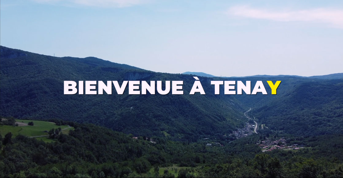 Commune de Tenay logo